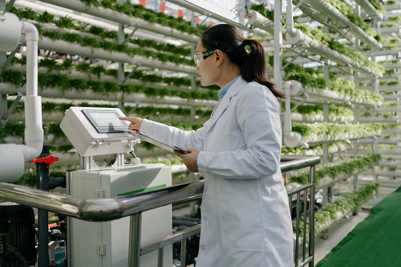 A scientist in a white lab coat and safety goggles operates a touchscreen device in a hydroponic farm. Rows of green plants grow in vertical pipes in the background, showcasing a high-tech agricultural environment.