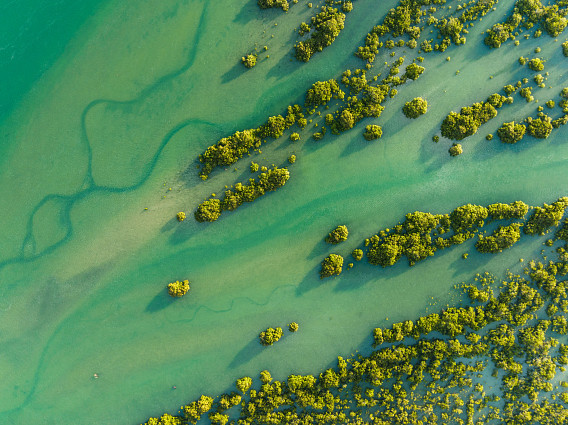 A aerial shot of a colourful creek